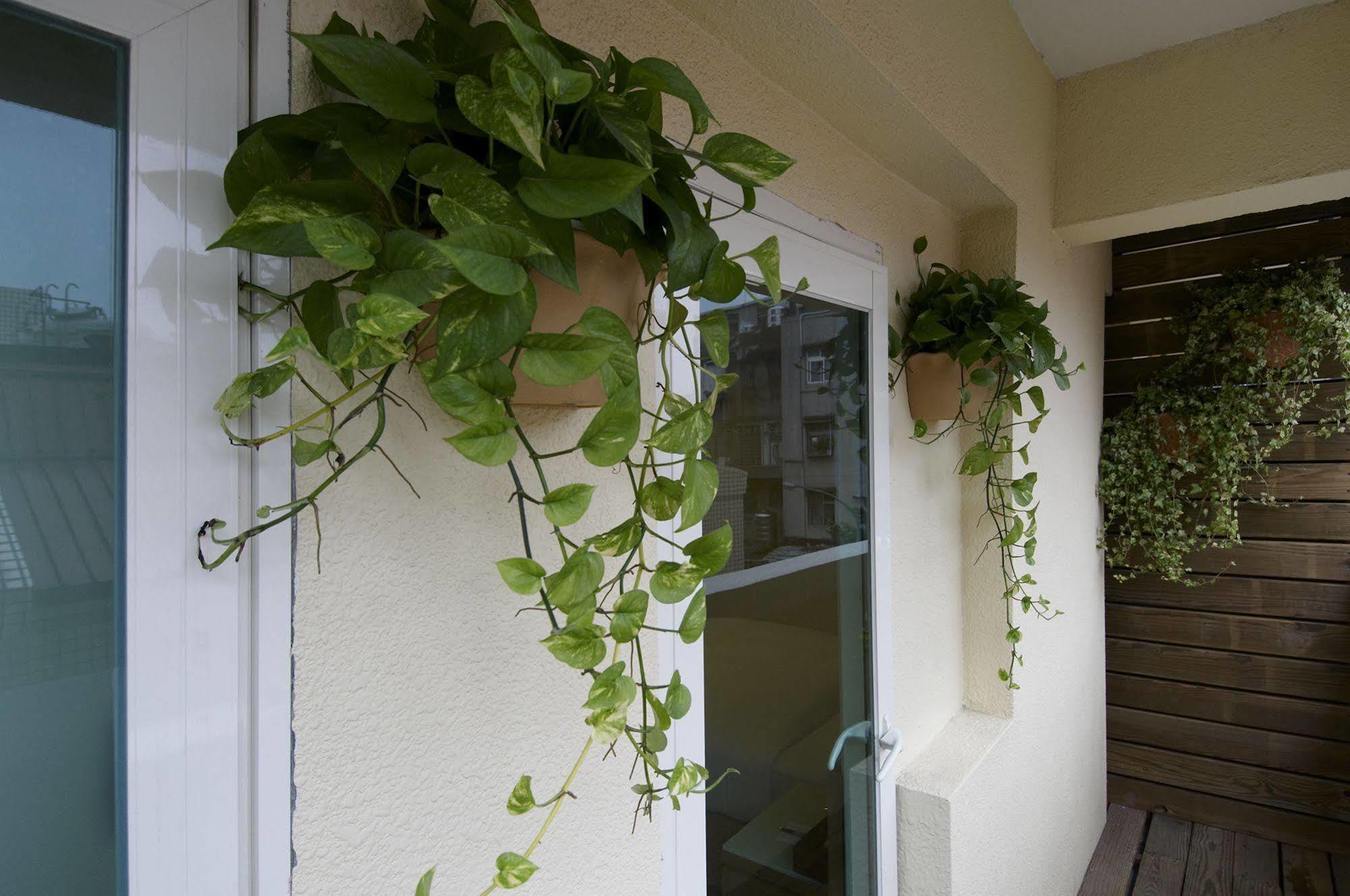 Hotel Color Banciao Exterior photo